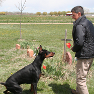 Read all about Cadaver dogs and how they helped us locate unmarked graves.